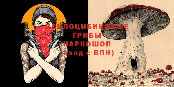 не бодяженный Аркадак