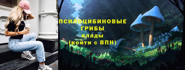 стафф Арсеньев