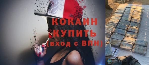 стафф Арсеньев